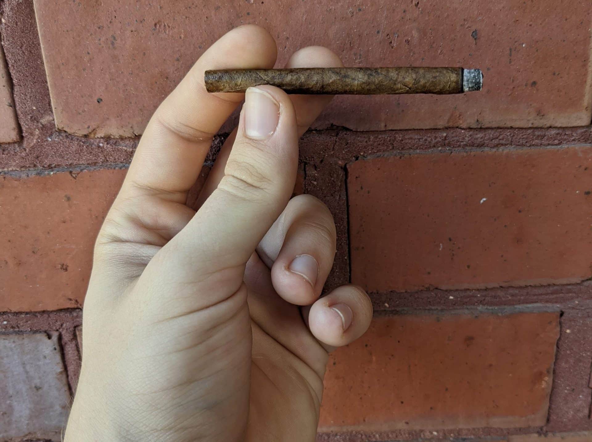 Hand holding a mini Neos Cappuccino Cigarillo