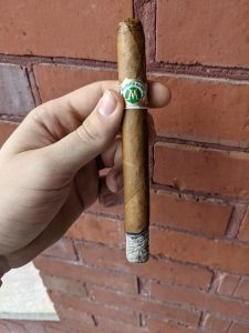 Hand holding a Montesino cigar with light ash at the end